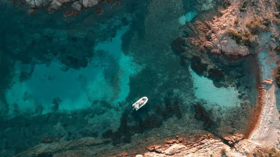 Promenade à la carte — SporeMare