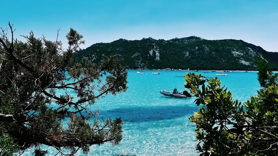 Promenades — SporeMare