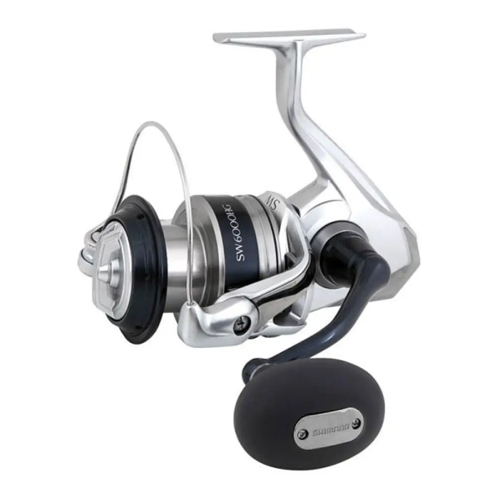 Moulinet Saragosa SW 6000 HG